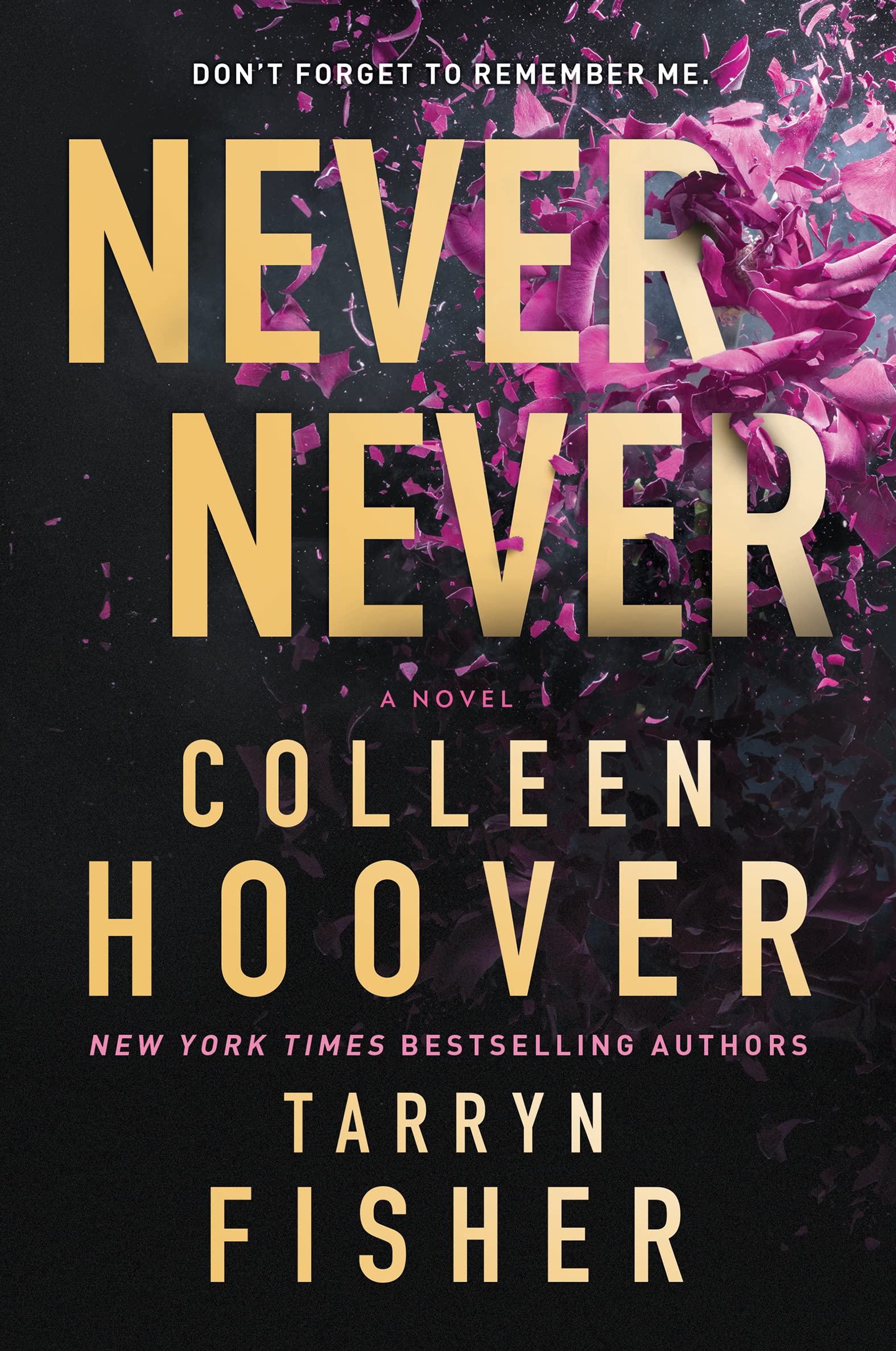 Never Never By Collen Hoover