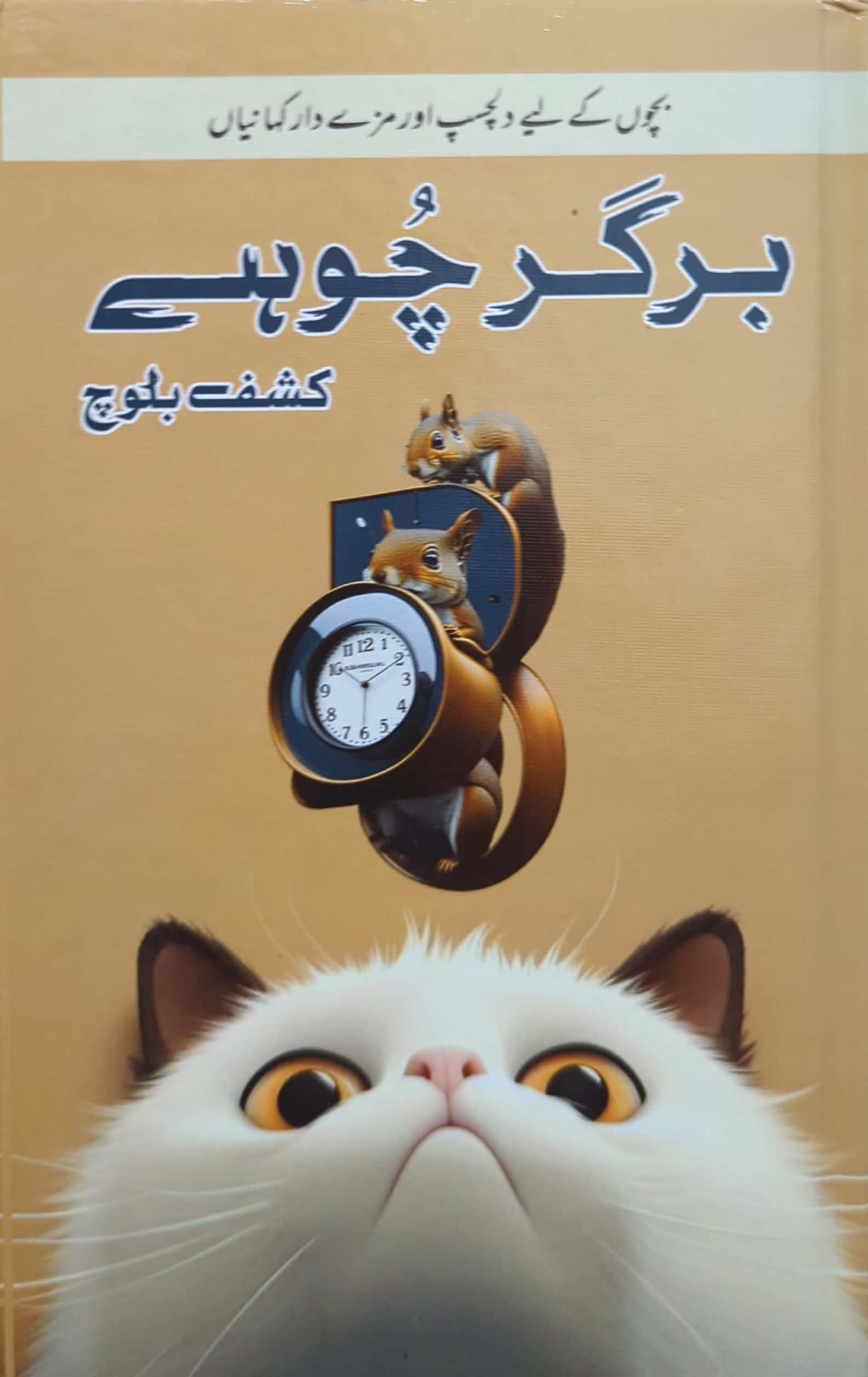 Burger Choohe By Kashaf Baloch