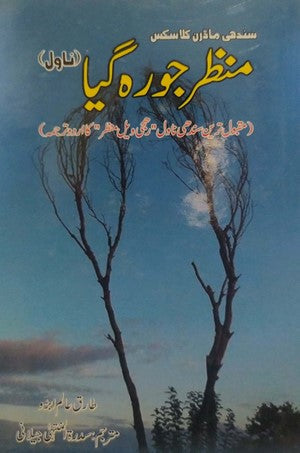 Manzar Jo Reh Gaya By Tariq Alim Abro