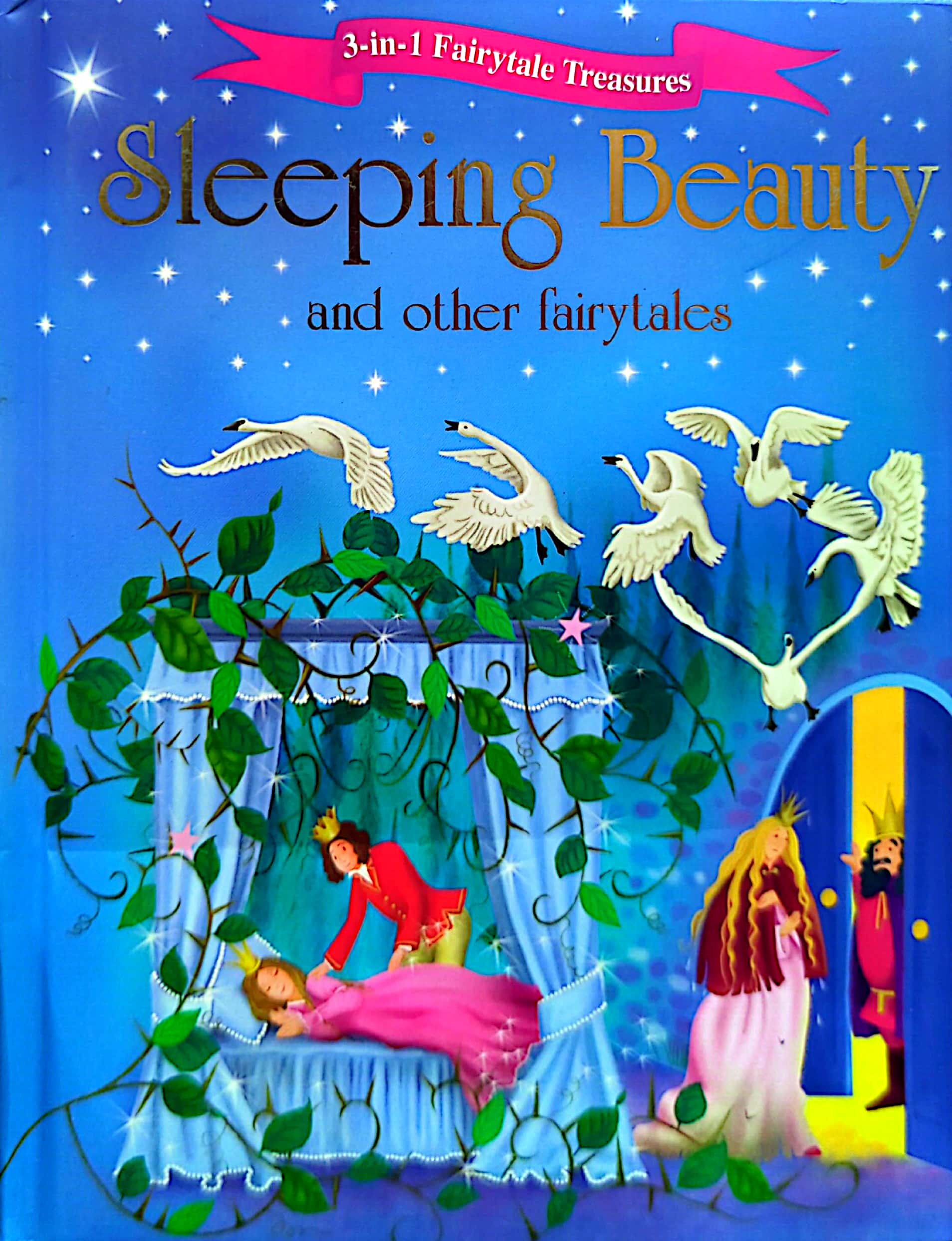 3 in 1 Fairytale Treasures - Sleeping Beauty and Other Fairytales By