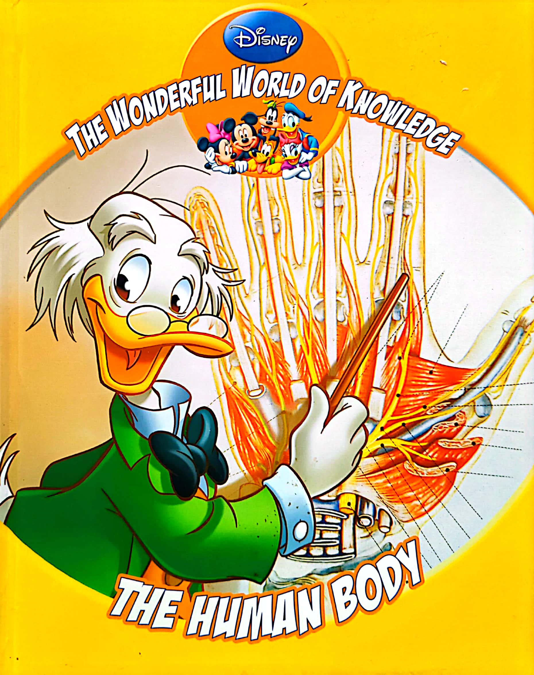 Disney The Wonderful World of Knowledge - The Human Body, English, Children's Non-fiction, Educational, Kids Corner