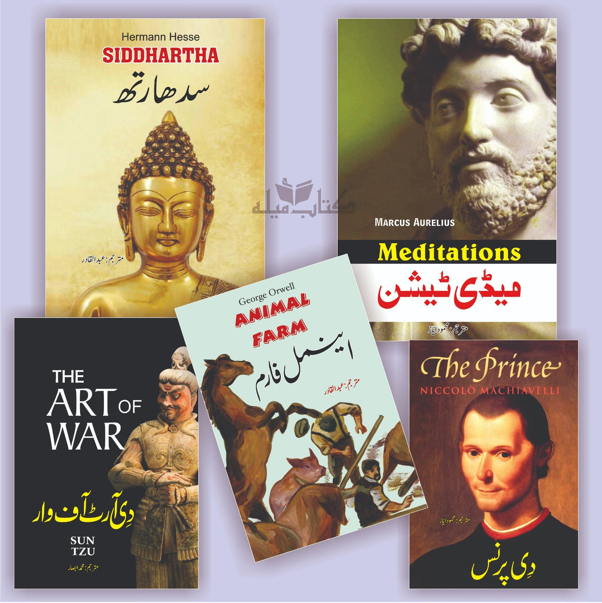 Wisdom Classics Urdu Book Set – Meditation, The Prince, The Art of War, Siddhartha & Animal Farm (5-Book Collection)