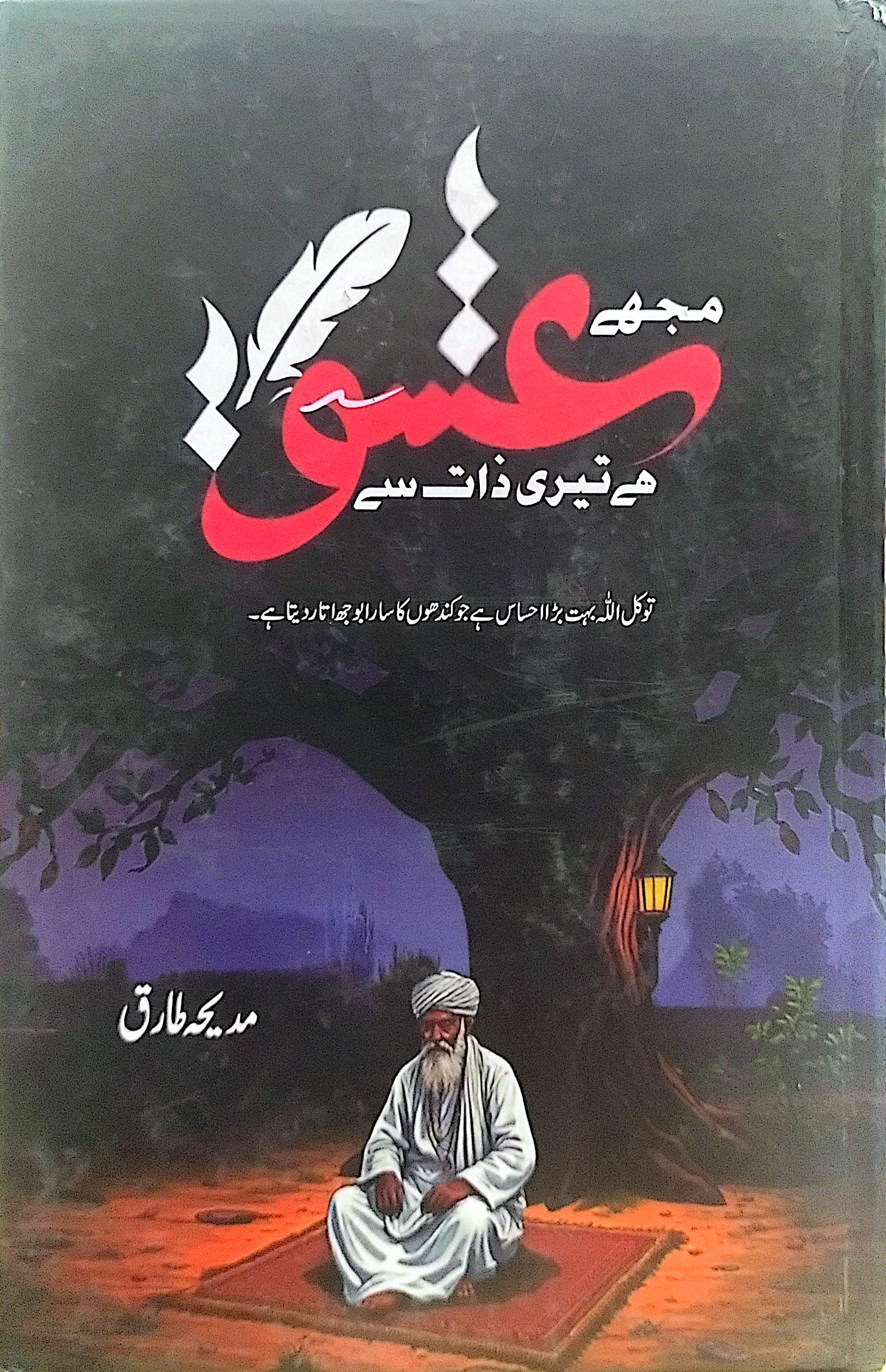 Mujhe Ishq Hai Teri Zaat Se By Madeeha Tariq