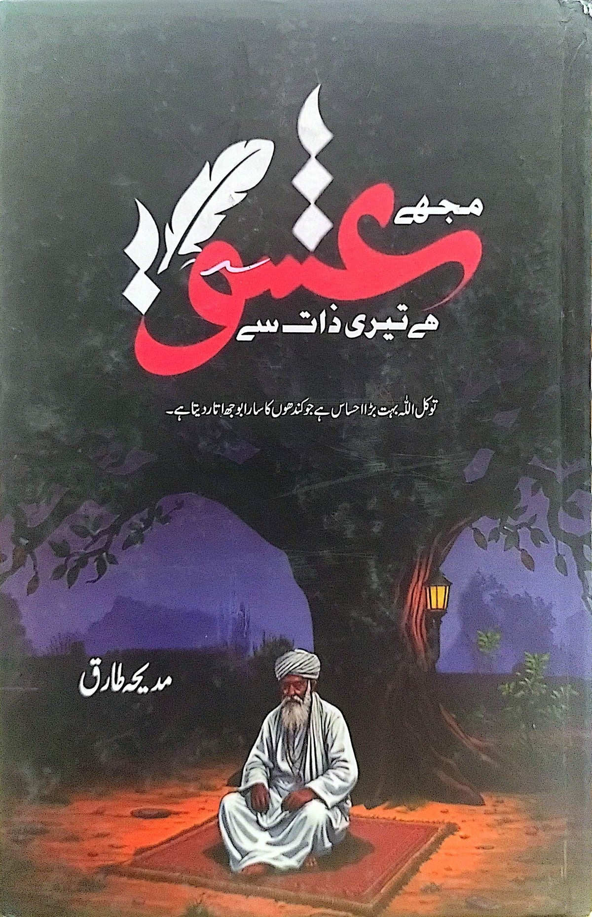 Mujhe Ishq Hai Teri Zaat Se By Madeeha Tariq