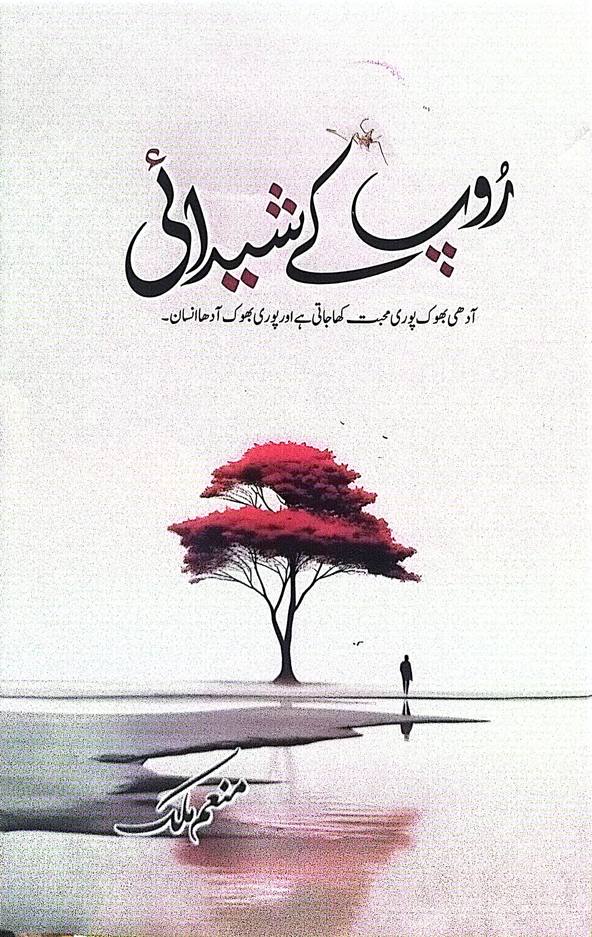 Roop Ke Shaidai By Munim Malik