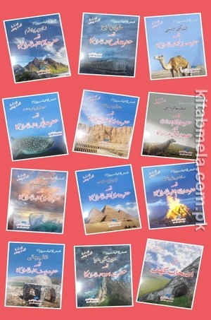 Qasas ul Anbiya Series 2 of 12 Books Set For Kids (4 Colors Illustrated)