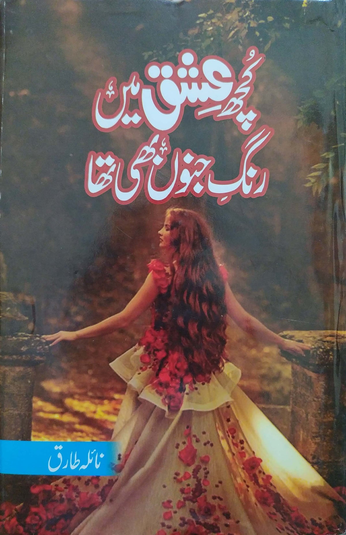 Kuch Ishq main Rang e Junoon Bhi Tha By Naila Tariq