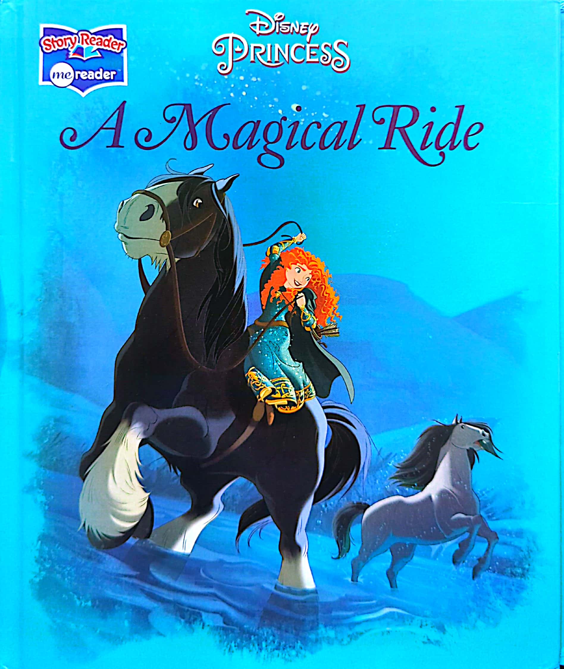 A Magical Ride - Disney Princess By