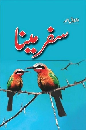 Safr e Maina By Ashfaq Ahmed